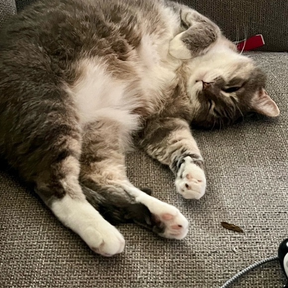 Meet your Posher, Agnieszka - Picture 14 of 15